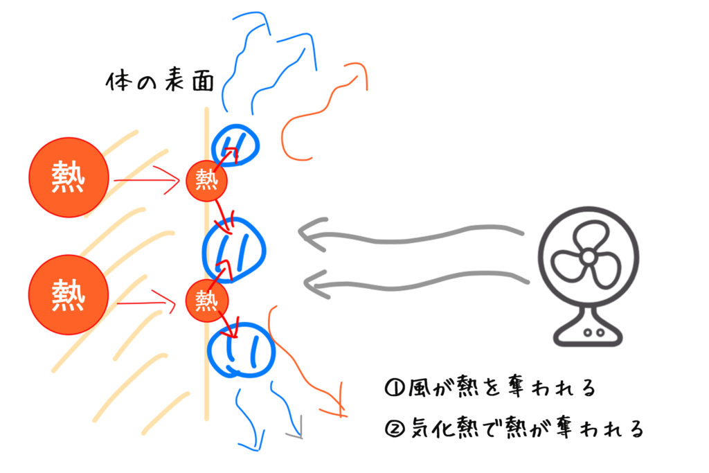 なぜ 濡れた体で扇風機の風に当たると涼しいのか メカニズムをわかりやすく解説 都市型すろーらいふ