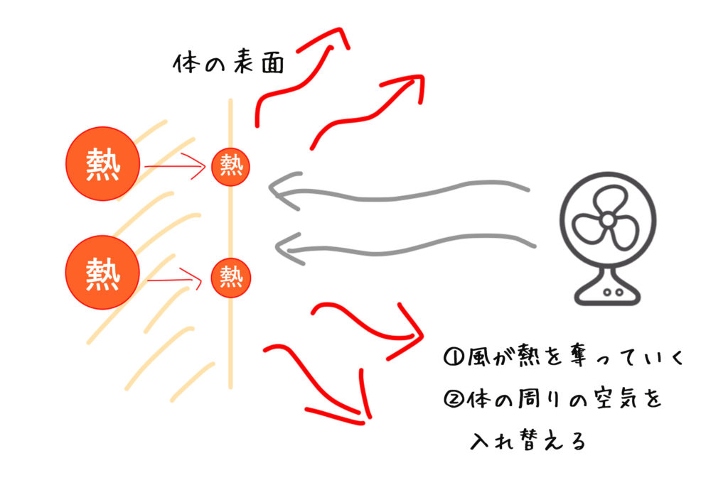 なぜ 濡れた体で扇風機の風に当たると涼しいのか メカニズムをわかりやすく解説 都市型すろーらいふ