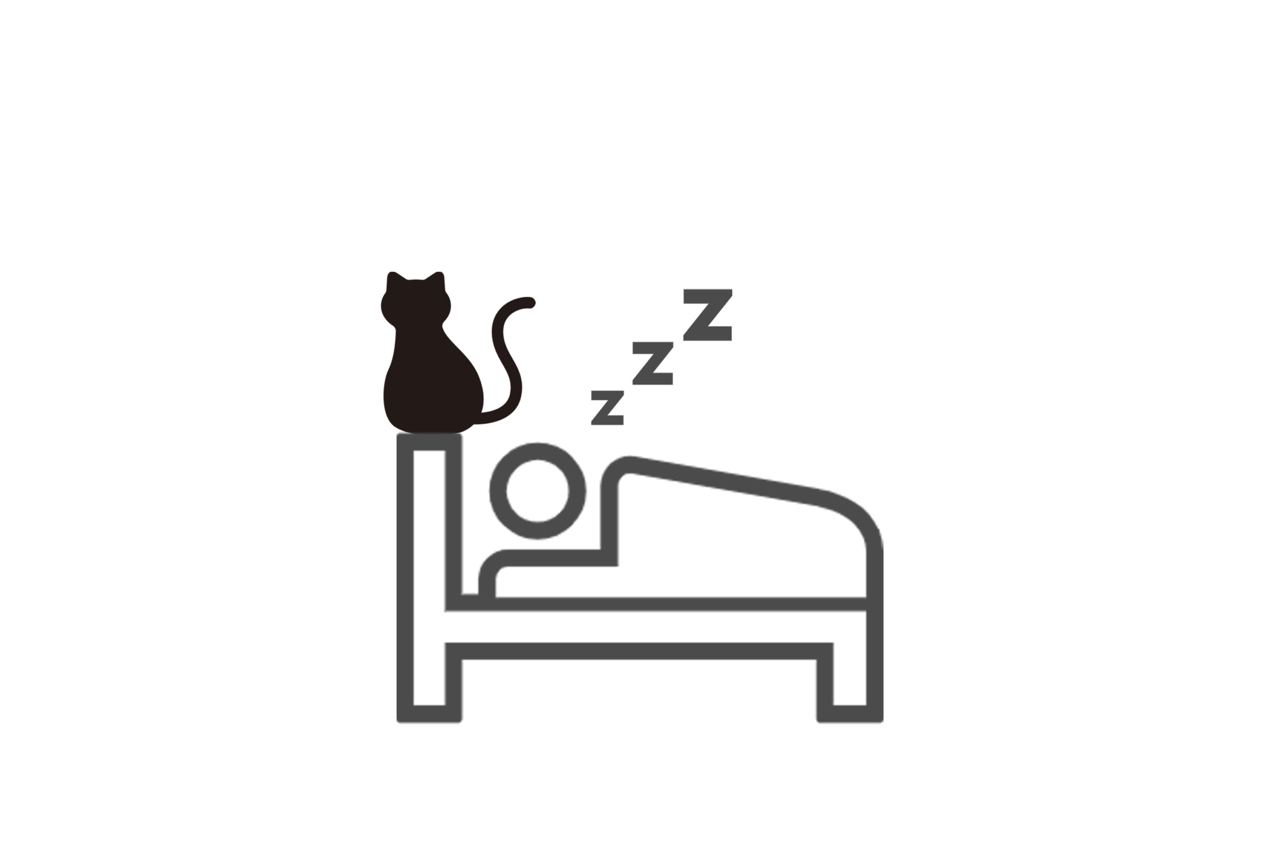 朝ごはんの要求で起こそうとしてくる猫との攻防 ネコのいる暮らし