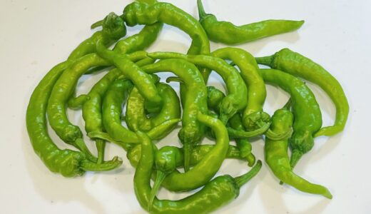 万願寺とうがらしの大量消費方法！ピーマンの代わりにすれば、すべて解決。